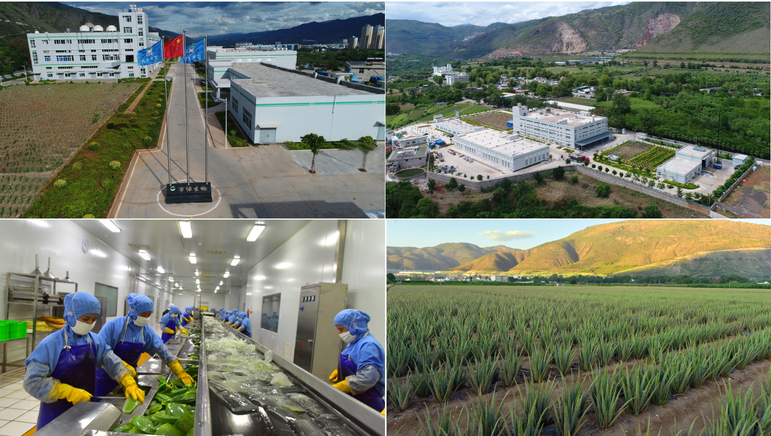 QQ圖片20200105222543.jpg QQ圖片20200105222543.jpg