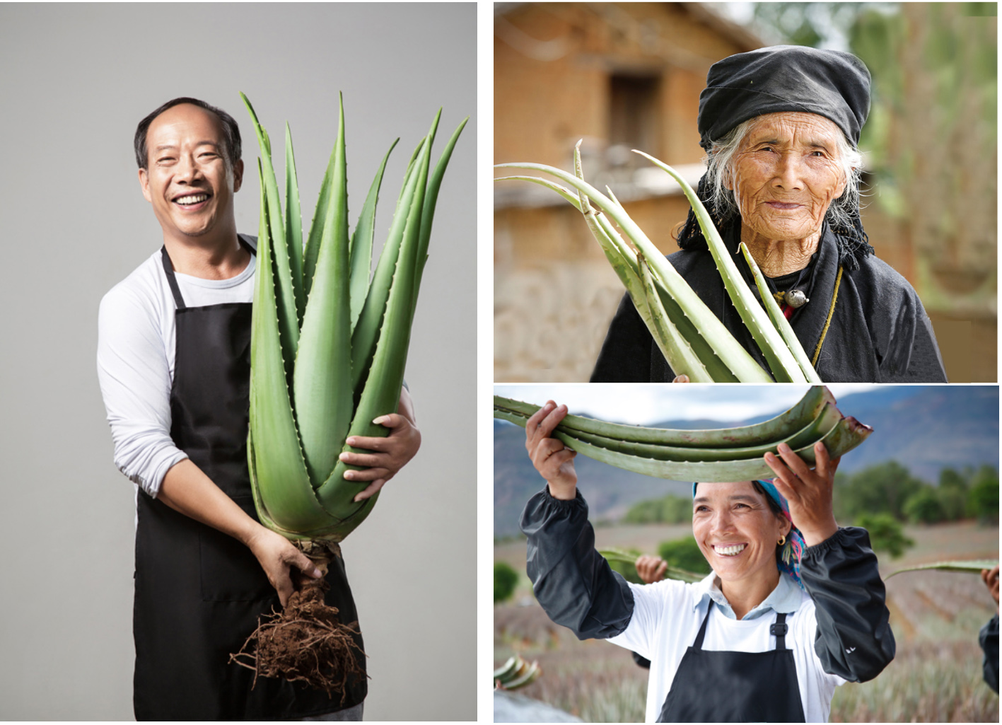 未標(biāo)題-1.jpg 未標(biāo)題-1.jpg