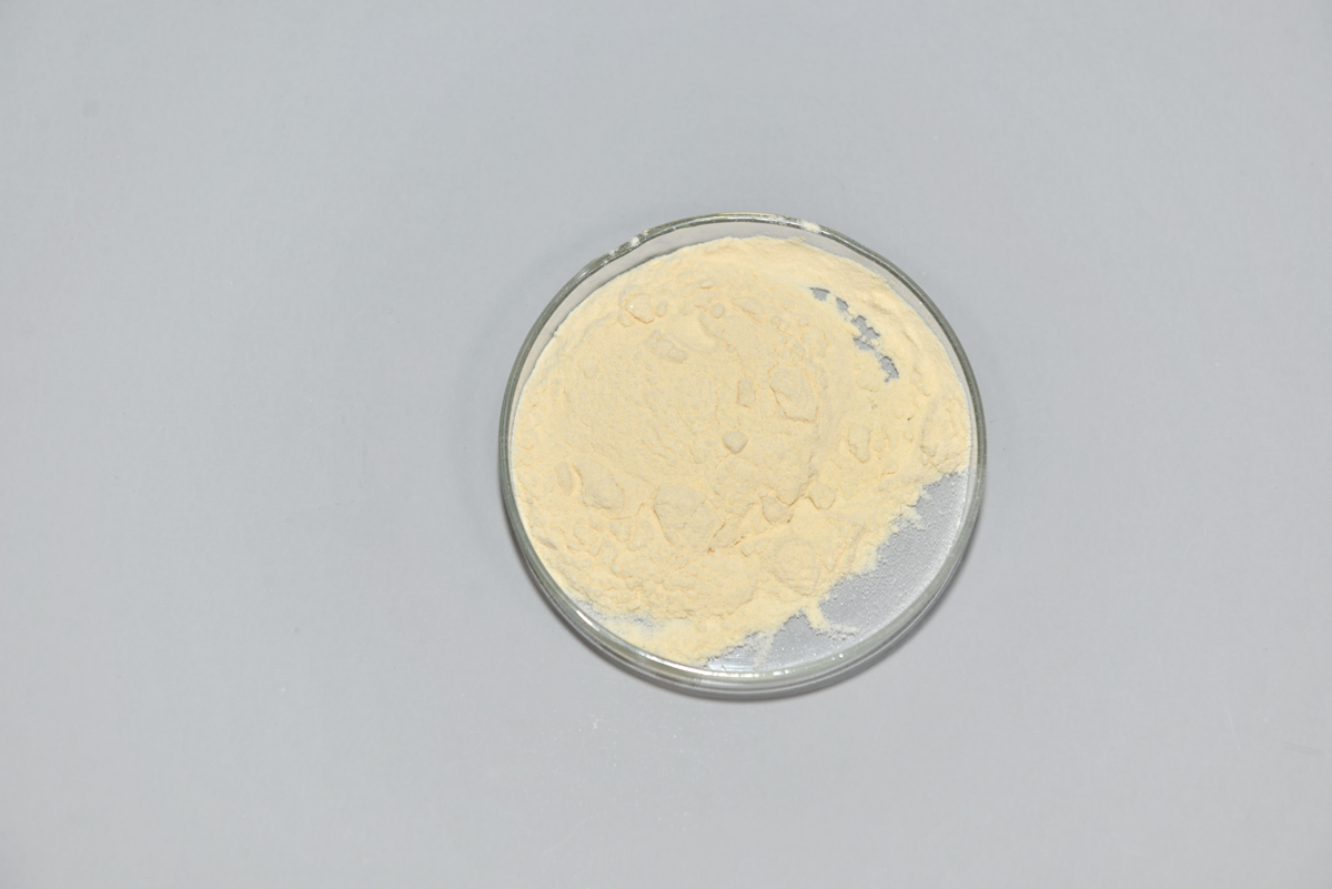 庫拉索蘆薈凝膠凍干粉