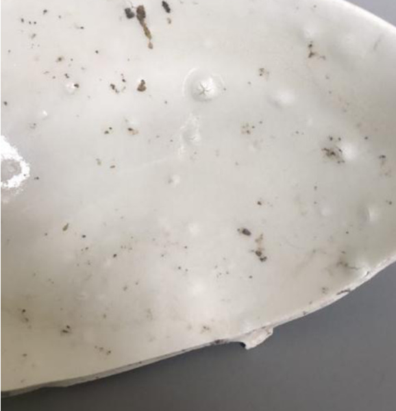 定瓷標(biāo)本上出現(xiàn)的氣泡 定瓷標(biāo)本上出現(xiàn)的氣泡